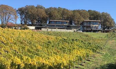 Alexana Winery