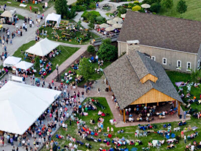 Sarah's Vineyard