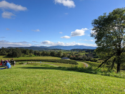 Great Valley Farm Brewery and Winery