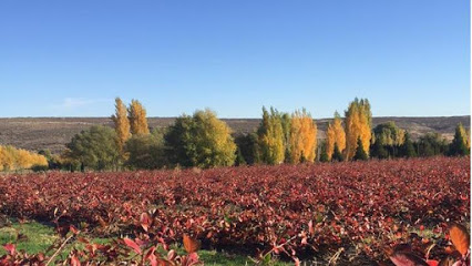 Mill Lane Winery - Yakima
