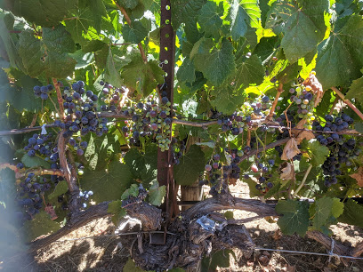 Yorkville Cellars