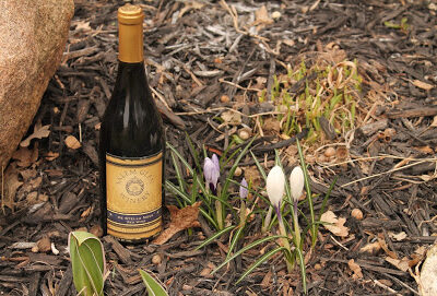 Salem Glen Winery