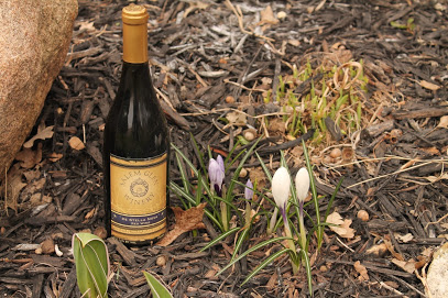 Salem Glen Winery