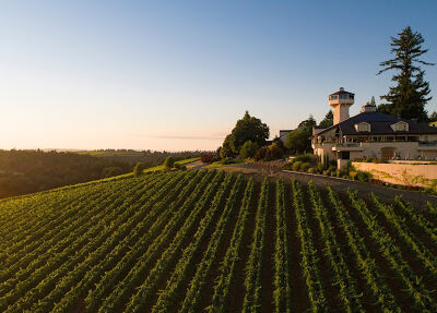 Willamette Valley Vineyards