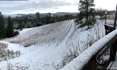 Gold Mountain Winery & Lodge