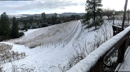 Gold Mountain Winery & Lodge