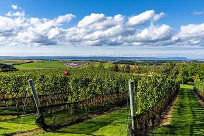Luckett Vineyards
