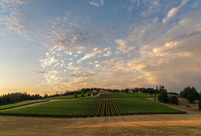 Domaine Serene Winery