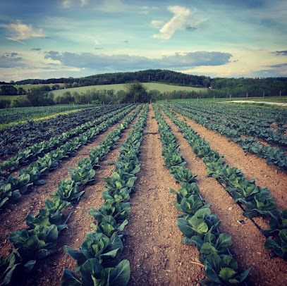 Taproot Farm