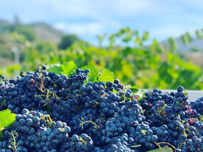 Keys Creek Winery
