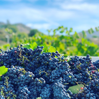 Keys Creek Winery