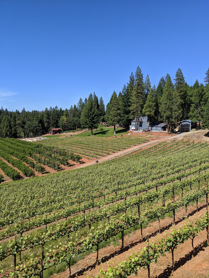 Delfino Farms - Edio Vineyards - Apple Hill #5