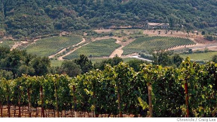 Antica Napa Valley