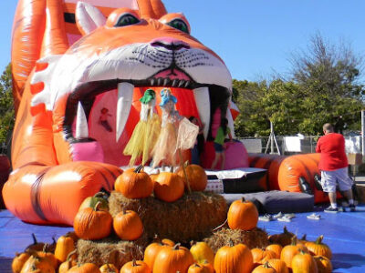 ABC Tree Farms & Pick of the Patch Pumpkins - BEN