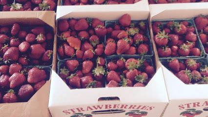 Heritage Harvest Farms