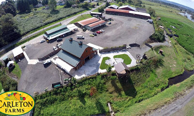 Carleton Farms