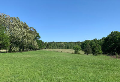 Sims Creek Farm