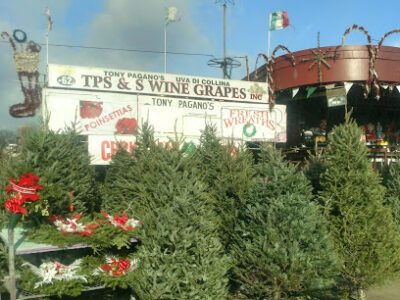 TP&S Wine Grape Inc