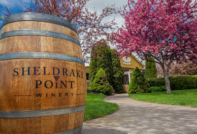 Sheldrake Point Winery