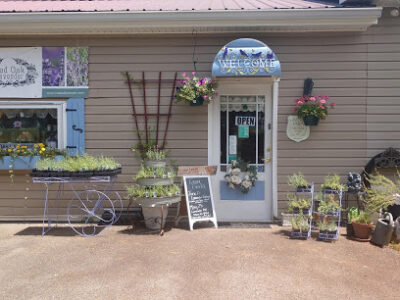 Red Oak Lavender Farm & Shop