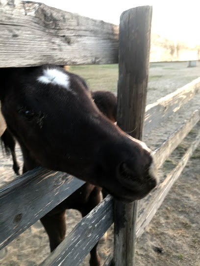 Ridgeley Farm