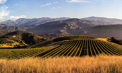 Holman Ranch