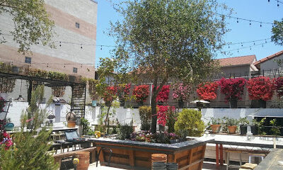 Carruth Cellars Wine Garden