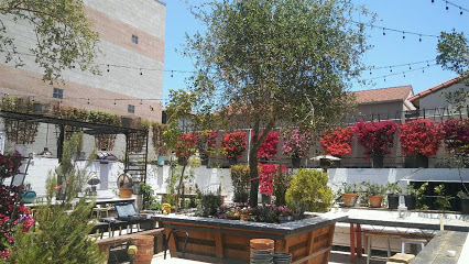 Carruth Cellars Wine Garden