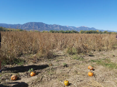 Venetucci Farm