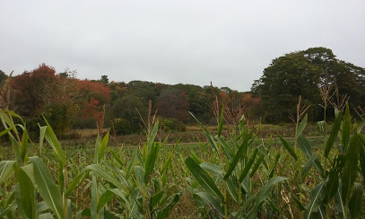 Alewives Brook Farm