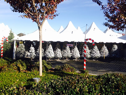 Colley Tree Farm