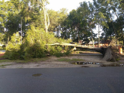 Surfside Farmers Market Memorial Park