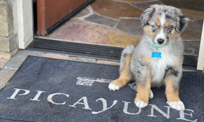 Picayune Cellars & Mercantile