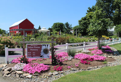 Arbor Farms Nursery