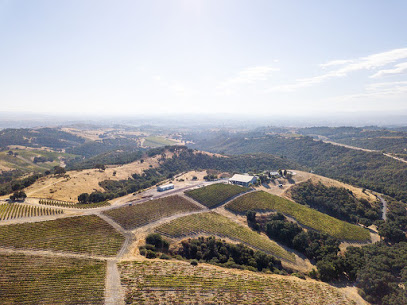 Calcareous Vineyard