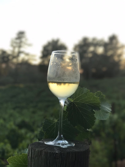 Provisor Vineyard