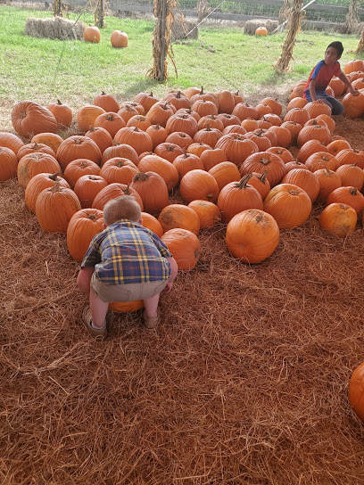 Hunsader Farms