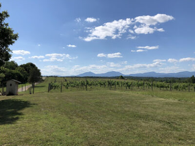 Leogrande Vineyards
