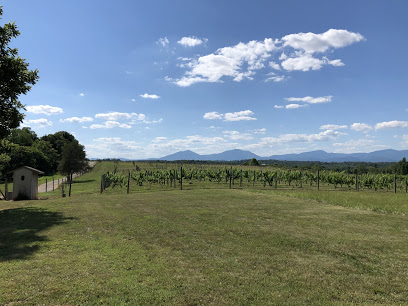 Leogrande Vineyards
