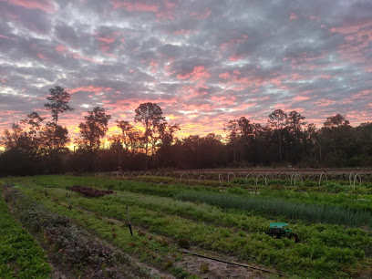 Siembra Farm