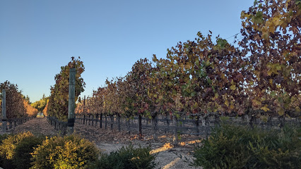 Vincent Vineyards & Winery
