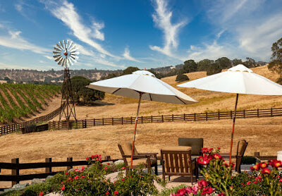 Rancho Victoria Vineyard