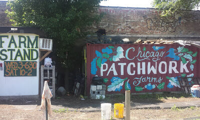 Chicago Patchwork Farms