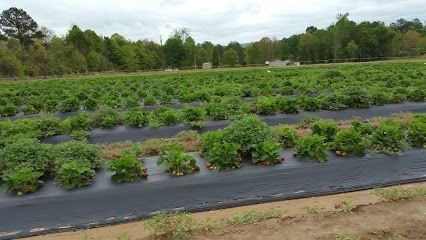 Oakview Farms