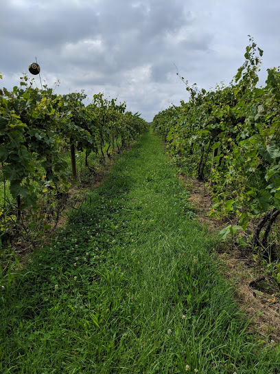 Knapp Winery & The Vineyard Restaurant (Restaurant is seasonal)