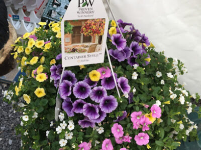 Marble Farms Farm Market