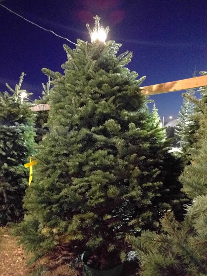 Bambi's Christmas Tree Land - Roseville
