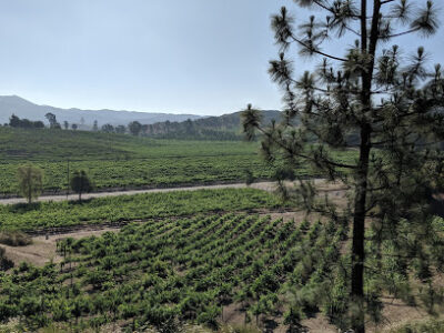 Parow Estate Vineyard & Winery