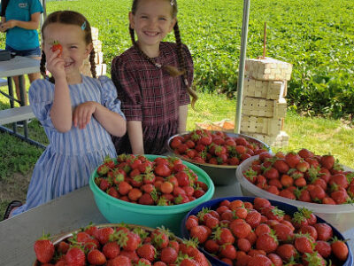 Finnell Farms
