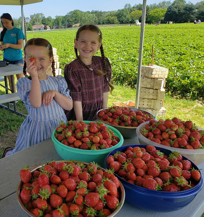 Finnell Farms